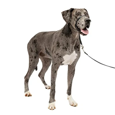 Image of PetSafe Gentle Leader No Pull Dog Headcollar The Ultimate Solution to Pulling Redirects Your Dog&#039;s for Easier Walks Helps You Regain Control X Large, Black