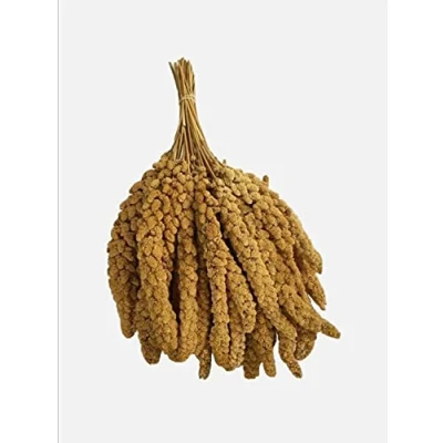 Image of 1Kg Natural Premium Yellow Millet Bird Seed Sprays