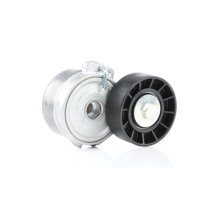 Image of 3545686CA0, 3545686CA1, 4916067G00 Tensioner DAYCO APV1028 PEUGEOT: 206 SW, Expert I Van, Partner SUZUKI: Grand Vitara 1 SUV