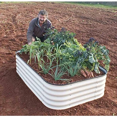 Image of Original Veggie Bed Paperbark Garden Planting Merino White Vegetable Planter Easy to Grow our Own 2x Veg by Thompson and Morgan. (Merino White)