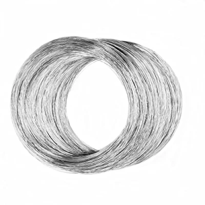 Image of 0.1mm 304 Stainless Steel Wire 32Ft for DIY Manual Arts and Crafts Bailing Sculpting Artistic Jewelry Making Twine Bonsai Training Garden