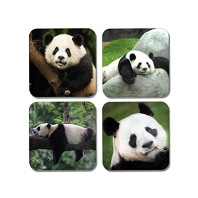 Image of DV DESIGN 4 x Square Panda Bear Coasters Animals Lesser Pandas Lazy Nature Zoo Gift #77891