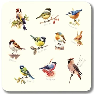 Image of Garden Birds Melamine Coasters Set 1, Pack of 6