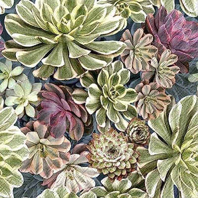 Image of CraftyThings 4 x Paper Napkins Succulents Ideal for Decoupage/Napkin Art