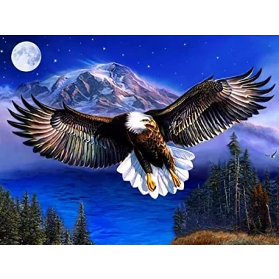 Image of Leejoy 5D Diamond Art Eagle, DIY Painting Kits for Adults Bird, Full Drill Crystal Rhinestone Embroidery Pictures Arts Crafts Canvas Cross Stitch Home Decor 30x40cm