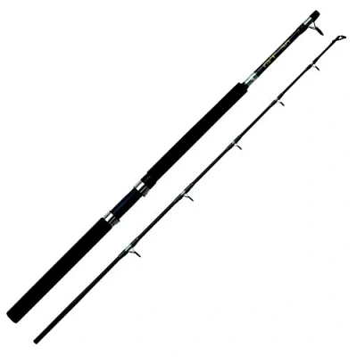 Image of Abu Garcia GT Boat Road 1.84m (30lb) rod