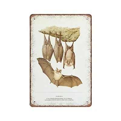 Image of DAIERCY 1970 Vintage Bat Tin Signs Poster Antique Art Gift Painting Funny Metal Sign Plaqu Wall Pub Bar Kitchen Garden Bathroom Home Decor, 140 X 200 mm