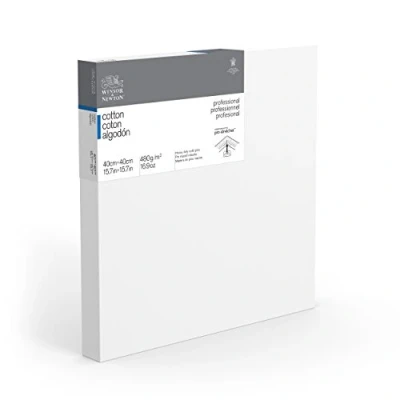 Image of Winsor &amp; Newton 40 x cm Professional Cotton Deep Edge Canvas (Pack of 1)