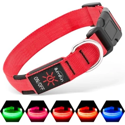 Image of Illumifun LED Dog Collar, USB Rechargeable Light Up Collar Glow in the Dark, Pet Safety Lights for Night Walking Camping (Red, Large)
