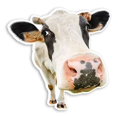 Image of 2 x 10cm Funny Cow Vinyl Stickers Cattle Farm Animal Laptop Sticker #20863 (10cm Wide)