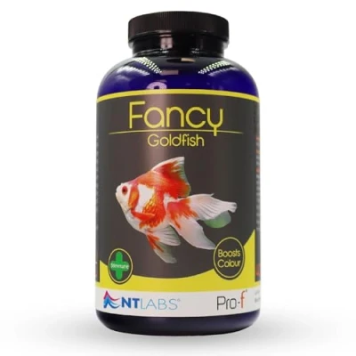 Image of NT Labs Pro f Fancy Goldfish, Goldfish Food, Aquarium Fish Slow Sinking Pellet, Nutritious Feed, SIZE 400gm
