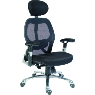 Image of Teknik Office Cobham Luxury Mesh Back Executive Chair Color: Black