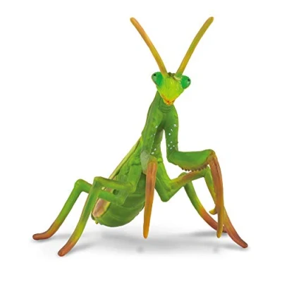 Image of CollectA Praying Mantis
