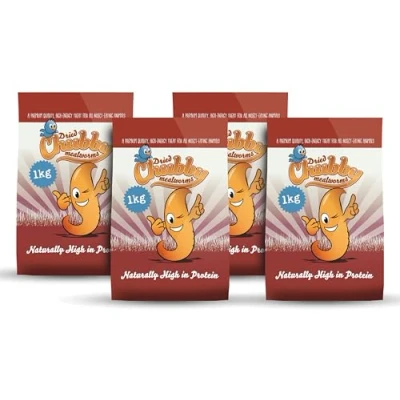 Image of 4Kg Chubby Dried Mealworms for Wild Birds Only