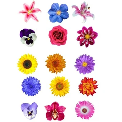 Image of 15 Mixed Summer Flower Edible Wafer Paper Cake Toppers Decorations