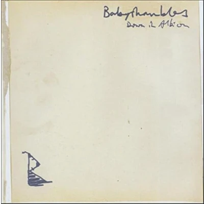 Image of Babyshambles Down In Albion 2005 UK 2 LP vinyl set RTRADLP240
