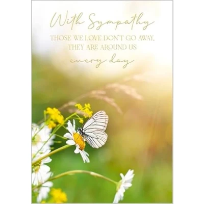 Image of Abacus Cards Sympathy Card Meadow Butterfly and Daisy Embossed with a Foil Finish Eco Friendly Recyclable