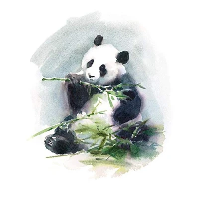 Image of Wee Blue Coo Panda Eating Watercolour Art Print Poster Wall Decor 12X16 Inch
