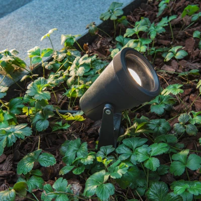 Image of SLV Samrina SP Single QPAR51 Ground Spike lamp Garden, Patio, Plants, Paths, Pond, LED Light, Outdoor Spotlight, GU10 IP65 7.0 W, Black, Plastic Glass