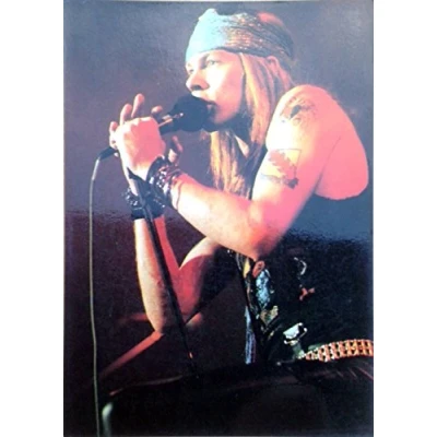 Image of Générique Guns N &#039;Roses  10x15 cm postcard