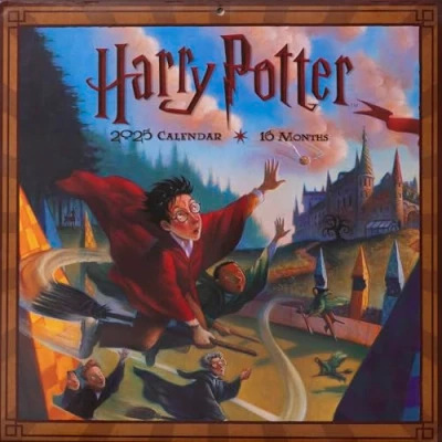 Image of Harry Potter (Literatur) 2025 30X30 Broschürenkalender