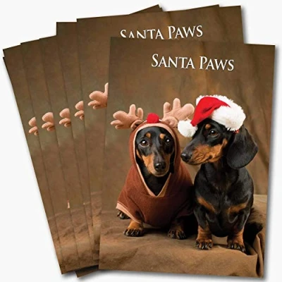 Image of Dachshunds Christmas Cards. Bulk Pack of 8 Dog Xmas Cards with envelopes by Charles Sainsbury Plaice.