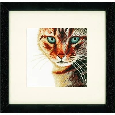 Image of Lanarte PN 0021202 Cat Close Up, Pack of 1