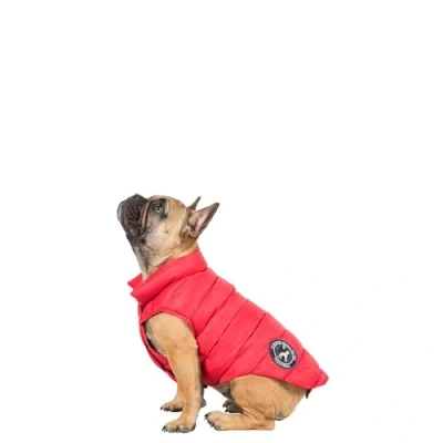 Image of Trespaws Dog Down Jacket Coat Zip Fastening with Harness Access Point Dogby