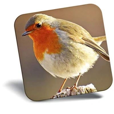 Image of Destination Vinyl ltd Fridge Magnet Robin Redbreast Bird Animals Birds 8701