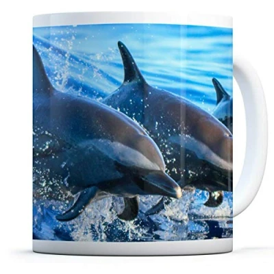 Image of Dolphin Pod Drinks Mug Cup Kitchen Birthday Office Fun #8434