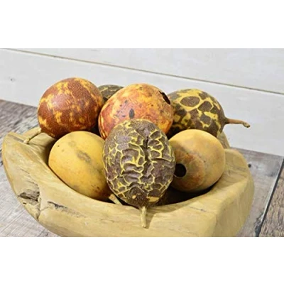 Image of Natural Crafts® dried Whole Passion fruit wreath making pot pourri pack of 6 (Mixed Pack)