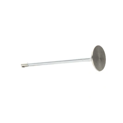 Image of 4411049, 93160646 Exhaust Valve BGA V991864 29mm RENAULT: MEGANE 2, CLIO 3, VAUXHALL: Vivaro Van