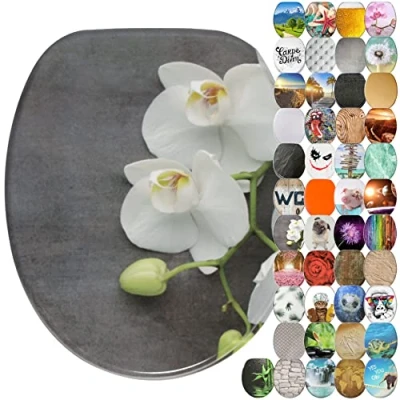 Image of Sanilo Soft Close Toilet Seat, Wide Choice of New Seats, Stable Hinges, Easy to Mount (Pretty)