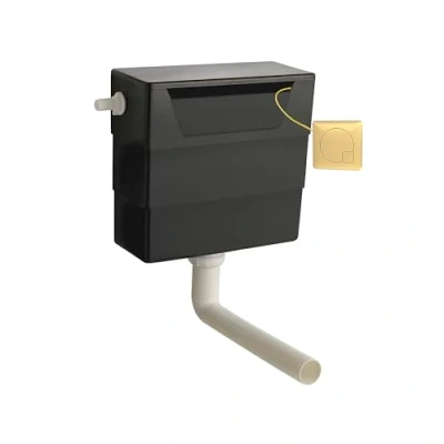 Image of Balterley Universal Water Saving Dual Flush Side Inlet &amp; Square Plate Brushed Brass/Black