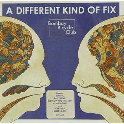 Image of A Different Kind Of Fix