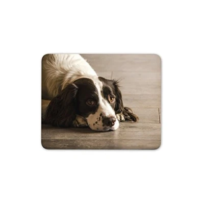 Image of Destination Vinyl Ltd Beautiful Springer Spaniel Dog Mouse Mat Pad Puppy Dogs PC Computer #8725
