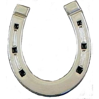 Image of Metal Enamel Pin Badge Brooch Horse Shoe (Chrome) Wedding Favour Horseshoe Pony Riding Equestrian Favor