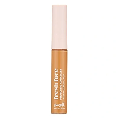 Image of Fresh Face Perfecting Concealer infused with Hyaluronic Acid, Shade 10