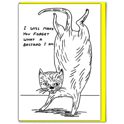 Image of Brainbox Candy Official David Shrigley Funny Rude Offensive Happy Birthday Card &#039;Cat&#039; Perfect for Wife Husband Mates Him Her Boyfriend Girlfriend Partner Sold Exclusively
