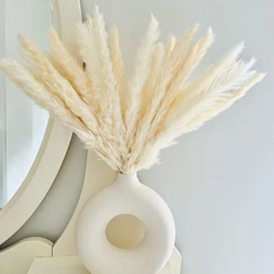 Image of White Pampas Grass Fluffy Small Grass, Dried Pampass Artificial Flowers Plant Decorative Flora For Vase, Boho Décor Home Bedroom Decorations, Shelf Decor, 30 Stems 45cm/17.7&quot;
