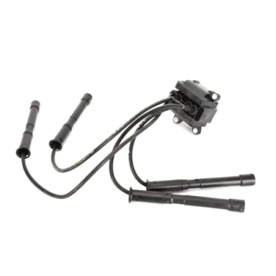 Image of 2244800QAD Ignition coil MAGNETI MARELLI 060717055012 RENAULT: CLIO 2, Kangoo I, PROTON: Savvy Hatchback