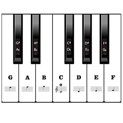 Image of SKmoon Piano Stickers, Keyboards Stickers for 88/61/54/49/37 Full Set,Music Electronic Keyboard Note Kids Beginners, Transparent &amp; Removable (Black)