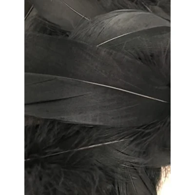 Image of Black Feathers, 100 Pack
