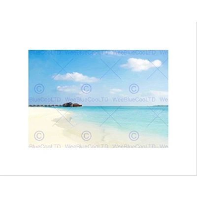 Image of Wee Blue Coo Tropical Beach Caribbean Seaside Black Frame Framed Art Print Picture B12X9479
