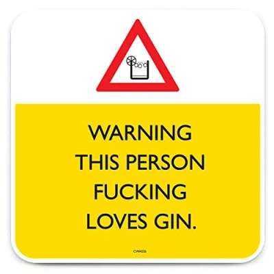 Image of Brainbox Candy Funny Rude &#039;F*cking Loves Gin Coaster&#039; Small Gift Ideas For Him Her Friends Birthday Housewarming Present New Home Gifts Women Men