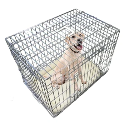 Image of Ellie Bo Silver Deluxe Medium 30 inch Folding 2 Door Dog Cage/Crate with Metal Tray and Bed Mat