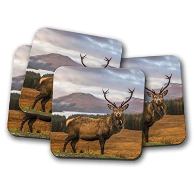 Image of 4 Set Stag Coaster Red Deer Scotland Men&#039;s Highlands Mountains #14361