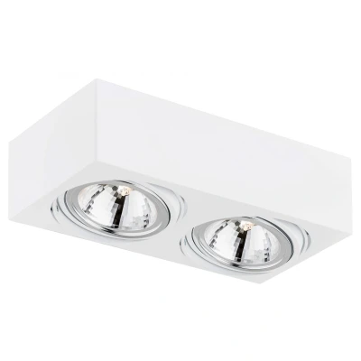 Image of Rodos Twin Surface Mounted Downlight White Structure