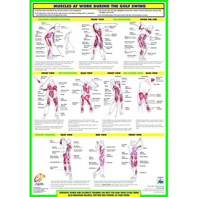 Image of Golf Training Chart Series (A3 Laminated, Swing Anatomy Chart)