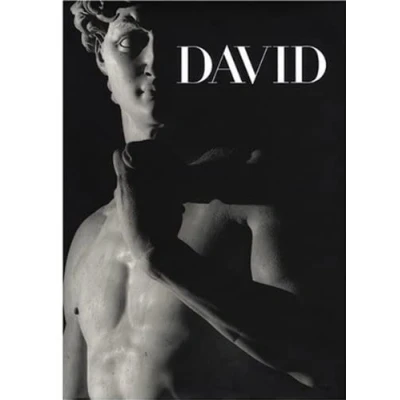 Image of David: Michelangelo